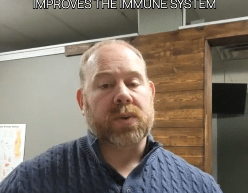 Improves The Immune System